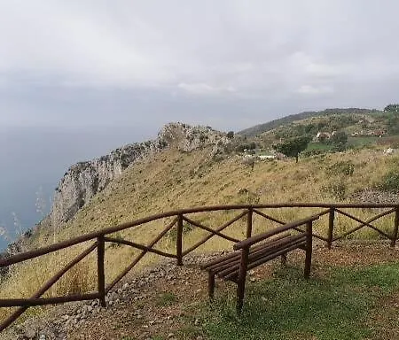 Daniela * Поликастро-Буссентино