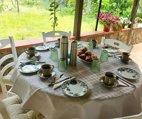 Oda ve Kahvaltı Daniela